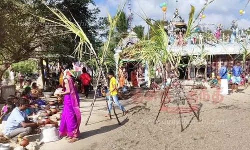 பொங்கல் பண்டிகை கோலாகலம் பொங்கல் பண்டிகை கோலாகலம்