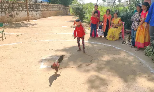 திருச்செங்கோட்டில் சேவலை துரத்தி பிடிக்கும் நூதன போட்டி திருச்செங்கோட்டில் சேவலை துரத்தி பிடிக்கும் நூதன போட்டி