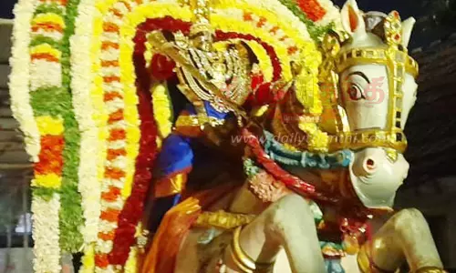 குதிரை வாகனத்தில் பெருமாள் வீதிஉலா