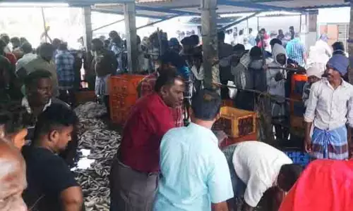 கட்டுமாவடி மார்க்கெட்டில் மீன் வாங்க குவிந்த பொதுமக்கள்