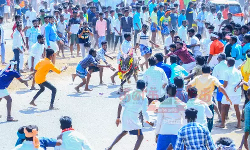 மஞ்சுவிரட்டில் சீறிப்பாய்ந்த காளைகள்