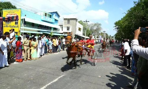 குதிரை, மாட்டு வண்டி பந்தயம்