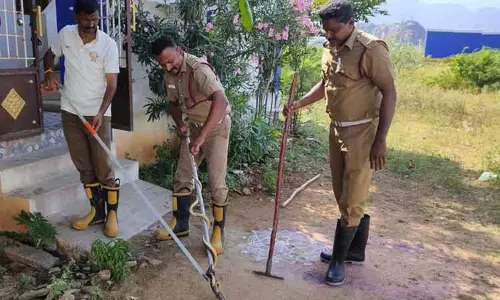 ராணுவ வீரர் வீட்டுக்குள் புகுந்த பாம்பு