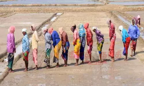 பாத்திகளை தயார் செய்யும் பணியில் தொழிலாளர்கள் தீவிரம்