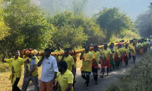 வனப்பகுதியில் இருந்து 85 அடி நீள கொடி மரம் கொண்டு வரப்பட்டது