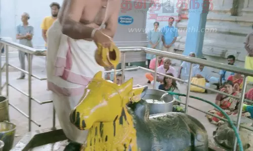 பிரதோஷத்தையொட்டிஅசலதீபேஸ்வரர் கோவிலில் சிறப்பு அபிஷேகம்