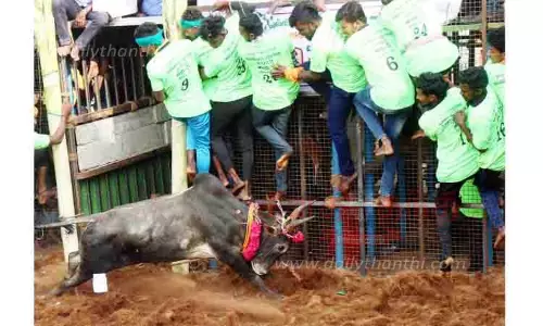 ஜல்லிக்கட்டில் காளைகளின் திமிலை பிடித்து அடக்கிய வீரர்கள்