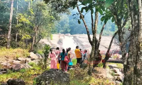 சின்ன கல்லாறு நீர்வீழ்ச்சிக்கு செல்ல அனுமதி