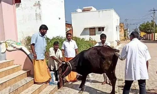 உப்புக்கோட்டை அருகேகால்நடைகளுக்கான மருத்துவ முகாம் உப்புக்கோட்டை அருகேகால்நடைகளுக்கான மருத்துவ முகாம்
