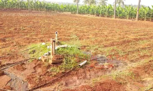 வேளாண் உபகரணங்களை சேதப்படுத்தி காட்டு யானைகள் அட்டகாசம்