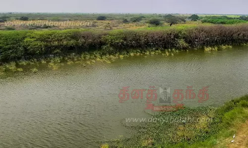 ஒருபுறம் தண்ணீர்; மறுபுறம் கருகும் நெற்பயிர்கள்