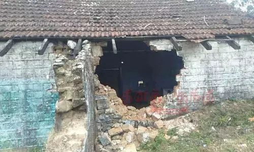 ரேஷன் கடையை உடைத்த காட்டுயானைகள்