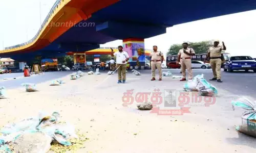 சீரான போக்குவரத்துக்கு சுங்கத்தில் 2 ரவுண்டானா