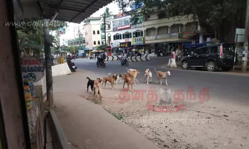 தினத்தந்தி புகார் பெட்டி