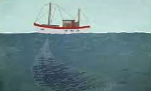 தூத்துக்குடி கடலில் மீனவர் படகு மீது மோதியது குஜராத்தை சேர்ந்த கப்பலா?:போலீசார் விசாரணை