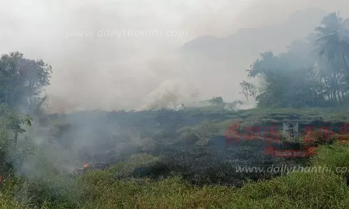 பூதப்பாண்டி அருகே குளத்தின் நடுவே பற்றி எரிந்த தீ