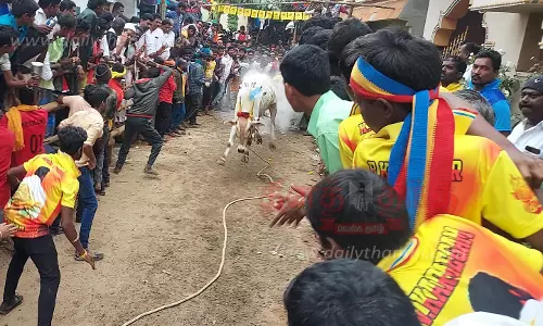 எருது விடும் விழாவில் 200 காளைகள் சீறிப்பாய்ந்தன மாடு முட்டியதில் முதியவர் பலி