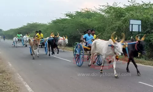 வெள்ளையபுரத்தில், மாட்டுவண்டி பந்தயம்