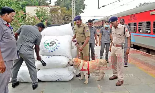 தற்காலிக சோதனைச்சாவடி அமைத்து தீவிர கண்காணிப்பு
