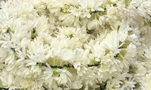 சத்தி மார்க்கெட்டில்முல்லைப்பூ கிலோ ரூ.1,360-க்கு ஏலம்