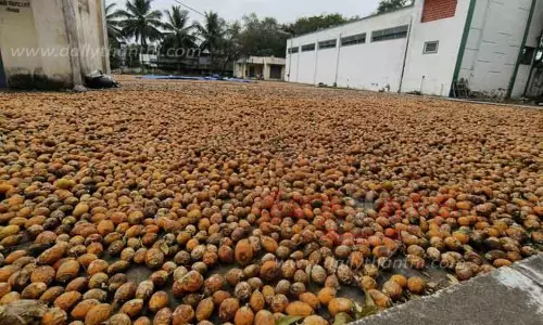 பாக்கு கொள்முதல் மையம் தொடங்க வேண்டும்