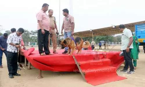 வ.உ.சி. மைதானத்தில் கலெக்டர் சமீரன் தேசிய கொடி ஏற்றுகிறார்