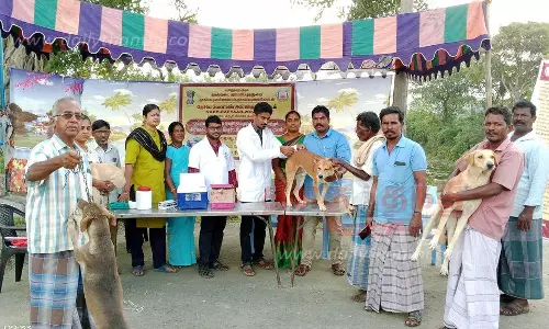 வெறிநோய் தடுப்பூசி முகாம்