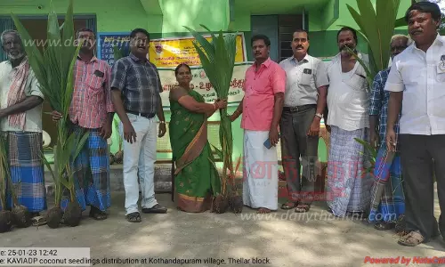 விவசாயிகளுக்கு இலவச தென்னங்கன்றுகள்