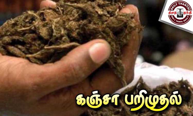 ஆந்திராவில் இருந்து சென்னைக்கு சினிமா பாணியில் லோடு வேனில் கடத்திய ரூ.50 லட்சம் கஞ்சா பறிமுதல் - 3 பேர் கைது