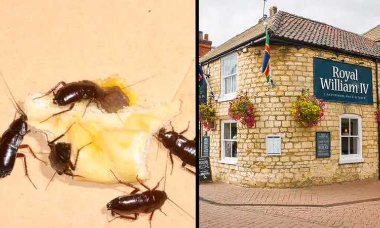 சம்பளம் வழங்காததால் நூதன முறையில் முதலாளியின் உணவு விடுதியை மூட வைத்த தொழிலாளி...!