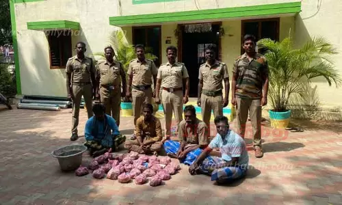 காட்டுப்பன்றி இறைச்சி விற்ற 4 பேர் கைது