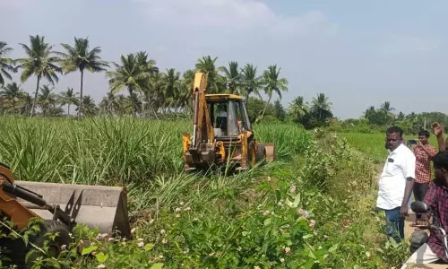 வாய்க்காலை ஆக்கிரமித்து சாகுபடி செய்த கரும்பு பயிர்கள் அழிப்பு