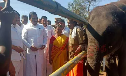 பாகன் தம்பதிக்கு பாராட்டு