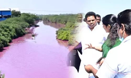 தூத்துக்குடி: ரசாயன கழிவு கலப்பால் இளஞ்சிவப்பு நிறத்தில் மாறிய உப்பாற்று ஓடை - கனிமொழி எம்.பி ஆய்வு