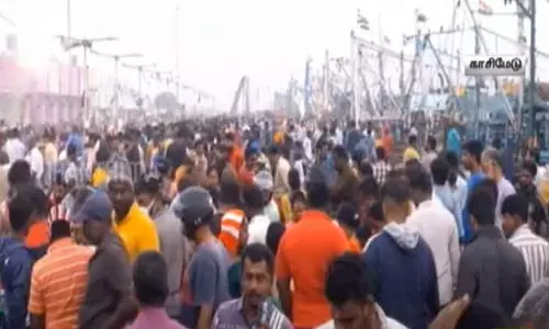 காசிமேடு மீன் சந்தையில் அலைமோதிய மக்கள் கூட்டம் - களைகட்டிய மீன்பிடி துறைமுகம்