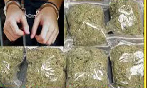 செய்துங்கநல்லூர் பகுதியில்கஞ்சா விற்ற 2 பேர் கைது செய்துங்கநல்லூர் பகுதியில்கஞ்சா விற்ற 2 பேர் கைது