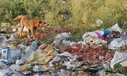 சாலையோரங்களில் கொட்டப்படும் இறைச்சி கழிவுகள்