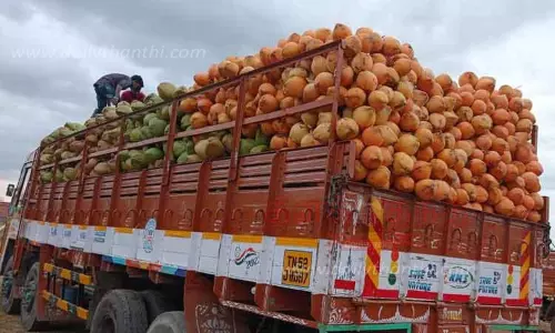 இளநீர் விளைச்சல் குறைந்ததால் விலை உயர்ந்தது