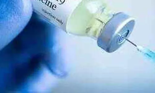 நாய்களுக்கு வெறிநோய் தடுப்பூசி நாய்களுக்கு வெறிநோய் தடுப்பூசி