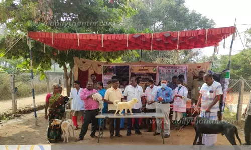 இலவச வெறிநாய்கடி தடுப்பூசி முகாம்