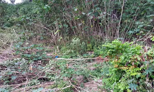 தும்மங்குறிச்சியில் பூங்கா அமைக்கப்படுமா?