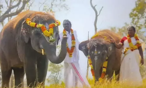 தி எலிபென்ட் விஸ்பரர்ஸ் முதுமலை குட்டி யானைகள் நடித்த ஆவணப்படம் - ஆஸ்கார் இறுதிப்பட்டியலில் இடம் பிடித்தது...!