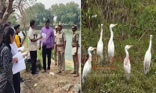 வேட்டங்குடி சரணாலயத்தில் பறவைகள் கணக்கெடுப்பு