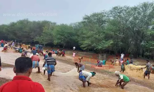 சிங்கம்புணரி அருகே மீன்பிடித் திருவிழா களைகட்டியது சிங்கம்புணரி அருகே மீன்பிடித் திருவிழா களைகட்டியது
