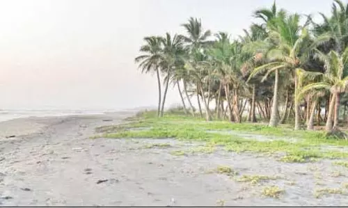 எம்.ஜி.ஆர்.திட்டு சுற்றுலா தலமாக மேம்படுத்தப்படுமா?