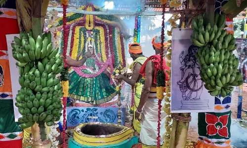 சீர்காட்சி பத்திரகாளியம்மன்கோவில் கும்பாபிஷேக விழா: புதன்கிழமைநடக்கிறது சீர்காட்சி பத்திரகாளியம்மன்கோவில் கும்பாபிஷேக விழா: புதன்கிழமைநடக்கிறது