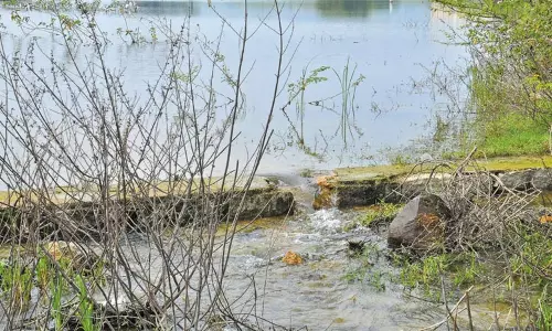 திருத்தணி செருக்கனூர் ஏரியில் உடைப்பு; வீணாகும் தண்ணிரை தடுத்து நிறுத்த கோரிக்கை திருத்தணி செருக்கனூர் ஏரியில் உடைப்பு; வீணாகும் தண்ணிரை தடுத்து நிறுத்த கோரிக்கை