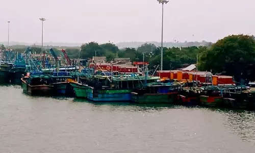 கடலூர் மீனவர்கள் மீன்பிடிக்க செல்ல வேண்டாம் கடலூர் மீனவர்கள் மீன்பிடிக்க செல்ல வேண்டாம்