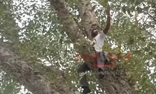 மரத்தில் ஏறி தற்கொலை மிரட்டல் விடுத்தவரால் பரபரப்பு மரத்தில் ஏறி தற்கொலை மிரட்டல் விடுத்தவரால் பரபரப்பு