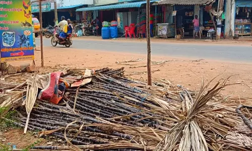 விற்பனை ஆகாததால் வீதியில் விட்டு சென்ற வியாபாரிகள் விற்பனை ஆகாததால் வீதியில் விட்டு சென்ற வியாபாரிகள்